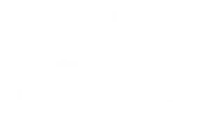 Alstop Express